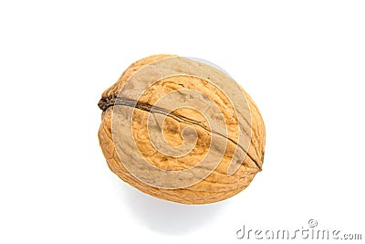 Single dry Walnut isolated on white Stock Photo