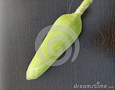 Single ear of corn isolated with its husk stem and silk on. Green coloured ear of corn with plain dark background. Stock Photo