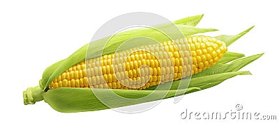 Single ear of corn isolated on white background Stock Photo