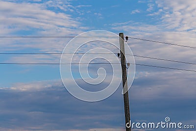 Single electricity pole with wires on the blue sky background. Stock Photo