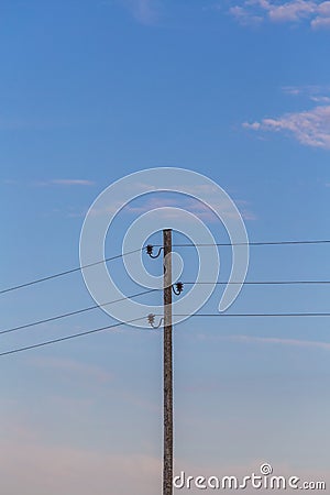 Single electricity pole with wires on the blue sky background. Stock Photo
