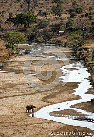 Single elephant drinking Stock Photo