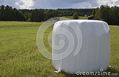 Single Ensilage conservated in plastic standing on a green field Stock Photo