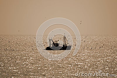 A single fishing boat contre jour Stock Photo