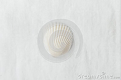 Single Flat Semi Circle Pure White Sea Shell on Linen Fabric Background. Minimalist Modern Styled Stock Photo Social Media Blog Stock Photo