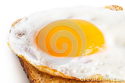 Single fried egg Stock Photo