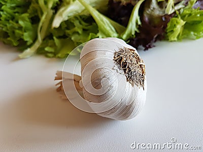 Single garlic organic fresh vegetables Stock Photo