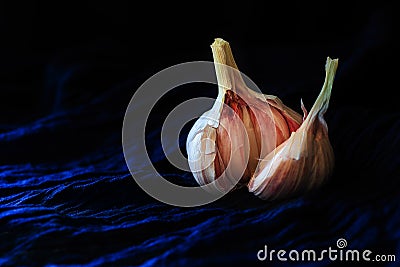 A single garlic torn open against dark blue textile background Stock Photo