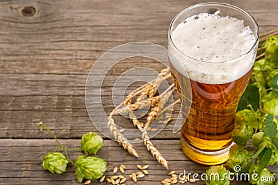 Single glass with Ipa beer, wheat ears, green hop cones on wooden background with copy space Stock Photo