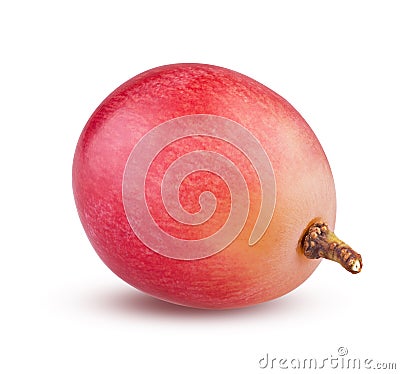 Single grape berry on while background. Isolated close up of one ripe red grape Stock Photo