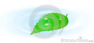 Single green leaf Vector Illustration
