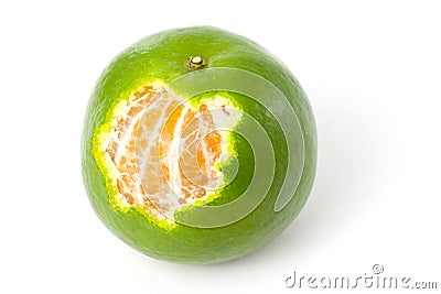 Single green Mandarin orange Stock Photo