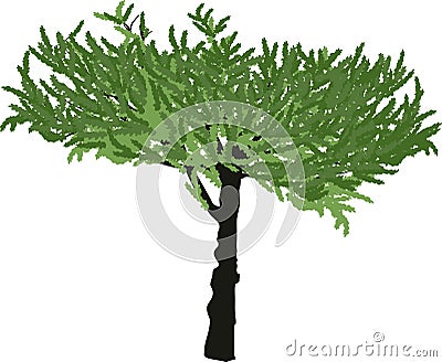 Single green small tree isolated on white Vector Illustration