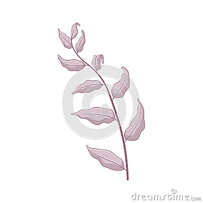 Single grey branch with leaves. Leaves isolated on white background. Hand drawn botanic illustration. Botanical vector art in Cartoon Illustration