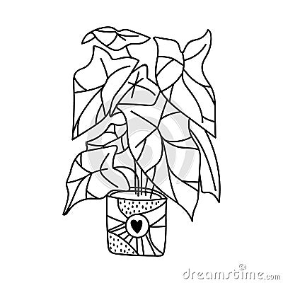 Single hand drawn alocasia houseplant. Vector illustration in doodle style Vector Illustration