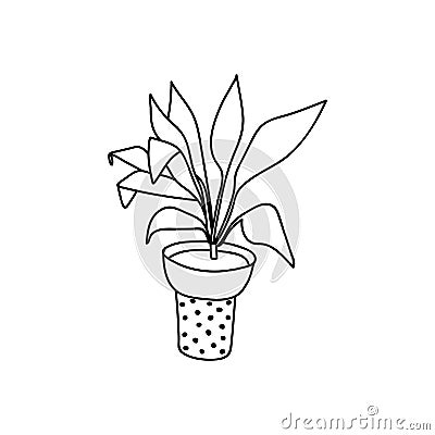 Single hand drawn houseplant. Vector illustration in doodle style Vector Illustration