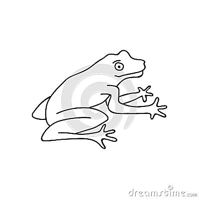 Single hand drawn toad. Funny frog. Vector illustration in doodle style. Isolate on a white background Vector Illustration