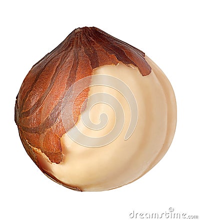 Single hazelnut isolated on white background Stock Photo