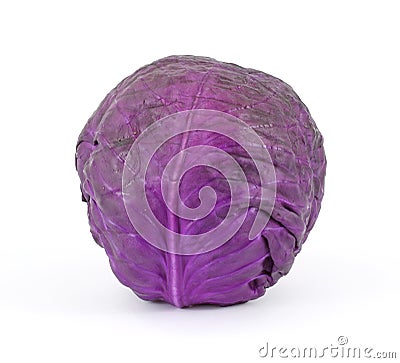 Single head of red cabbage Stock Photo