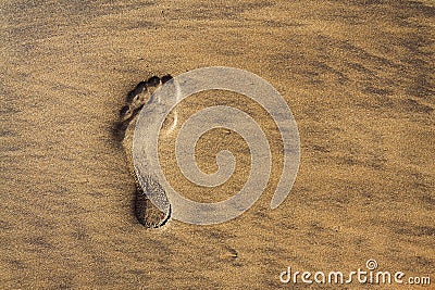 Single human barefoot footprint of left foot in brown yellow sand beach background, summer vacation or climate change concept Stock Photo