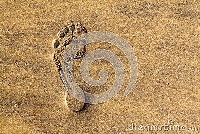 Single human barefoot footprint of left foot in brown yellow sand beach background, summer vacation or climate change concept Stock Photo