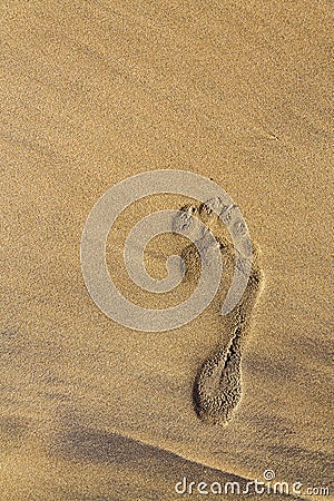 Single human barefoot footprint of right foot in brown yellow sand beach background, summer vacation or climate change concept Stock Photo