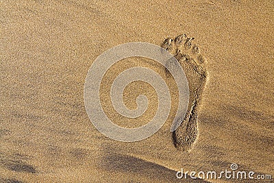 Single human barefoot footprint of right foot in brown yellow sand beach background, summer vacation or climate change concept Stock Photo