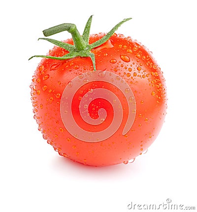 Single Juicy tomato with drops Isolated Stock Photo