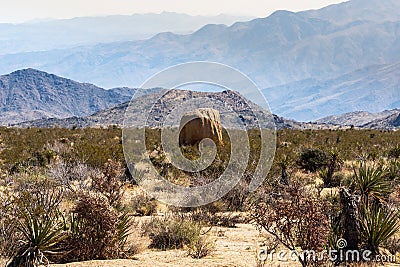 Large Boulder in the middle of the Desert Stock Photo