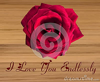 Single Large Red Rose on a wooden background Stock Photo