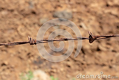 A single line of barbed wire on a fence for controlling cattle Stock Photo