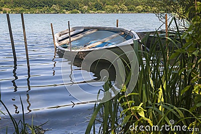 Single little boat with reeds Stock Photo