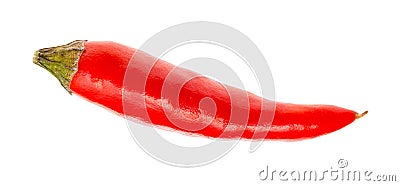 single little fresh red ripe chili pepper isolated Stock Photo