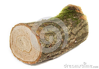 A Single log Stock Photo