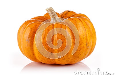 Single mini pumpkin isolated on white Stock Photo