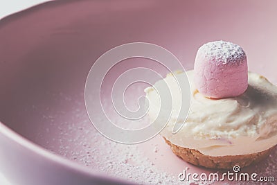 Single mini vanilla cheesecake with pink marshmellow Stock Photo