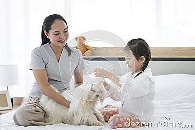 A single mother with a young child ties the hair to a white-haired maltese dog. Baby Grooming for white dog Stock Photo