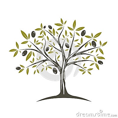 Single Olive tree Vector Illustration