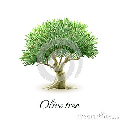 Single olive tree picture print Vector Illustration