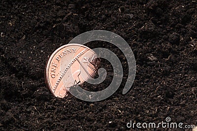 Single One Pence British Currency Coin in a Compost Pot Stock Photo