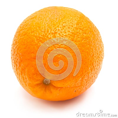 Single orange Stock Photo