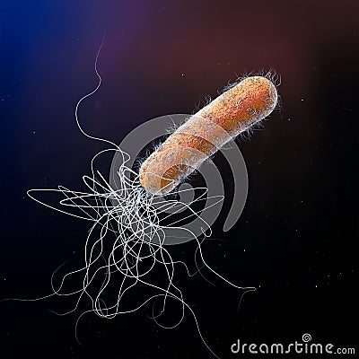 Single orange colored multiple antibiotic resistant Pseudomonas aeruginosa bacterium Cartoon Illustration