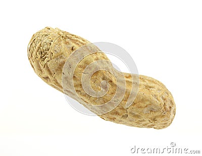 Single Peanut Stock Photo