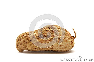 A single peanut against a white backdrop Stock Photo