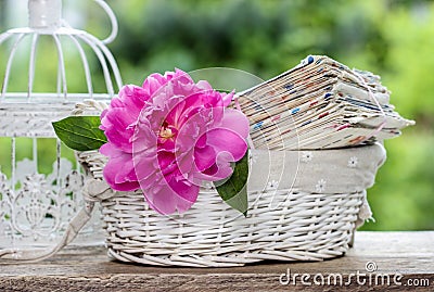 Single pink peony flower and pile of letters Stock Photo