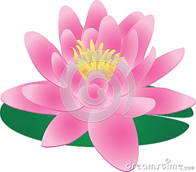 Single Pink Water Lily Lotus Plant Graphic Stock Photo