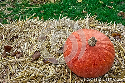 Single Pumpkin on Haystack Farm Decoration Autumn Fall Seasonal Stock Photo