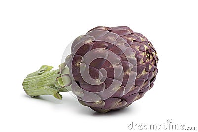 Single purple artichoke Stock Photo