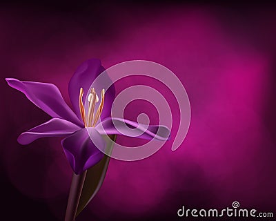 Single purple orchid as background design Vector Illustration