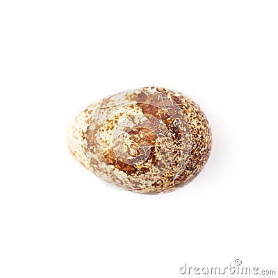 Single quail egg isolated over white background Stock Photo